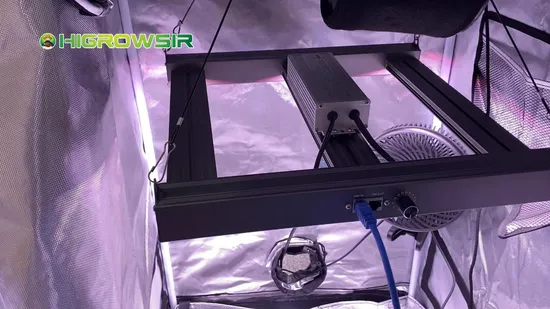 4X4FT Indoor Farming Grow Tent Kit CE/RoHS Certified for LED Grow Lights 4X4FT 480W 