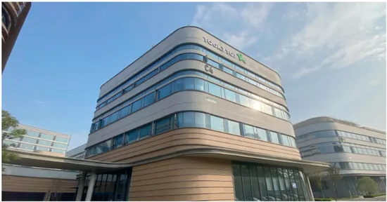 Kids Gym Multifunctional Wooden Climbing Toys Indoor 